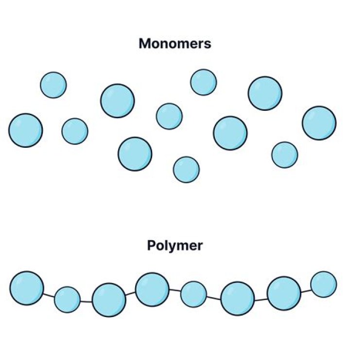What is monomer and polymer in biology