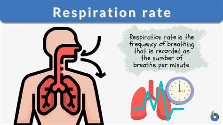 What is respiratory rate