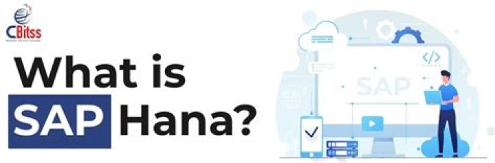 What is SAP HANA client