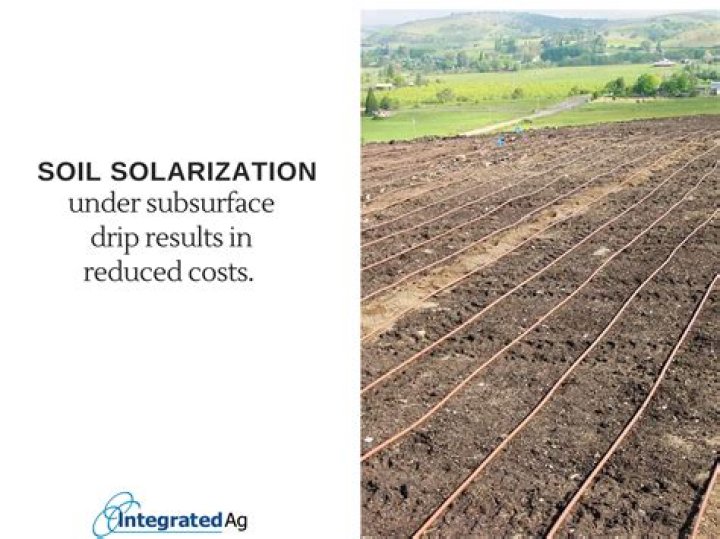 What is soil solarization method