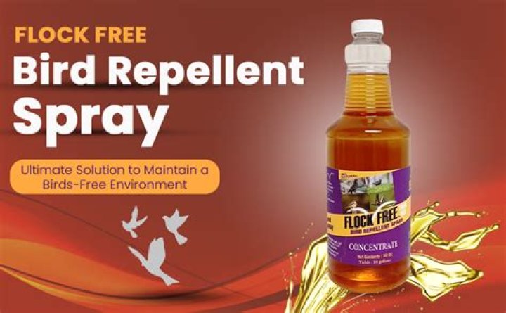 What is Tanglefoot Bird Repellent
