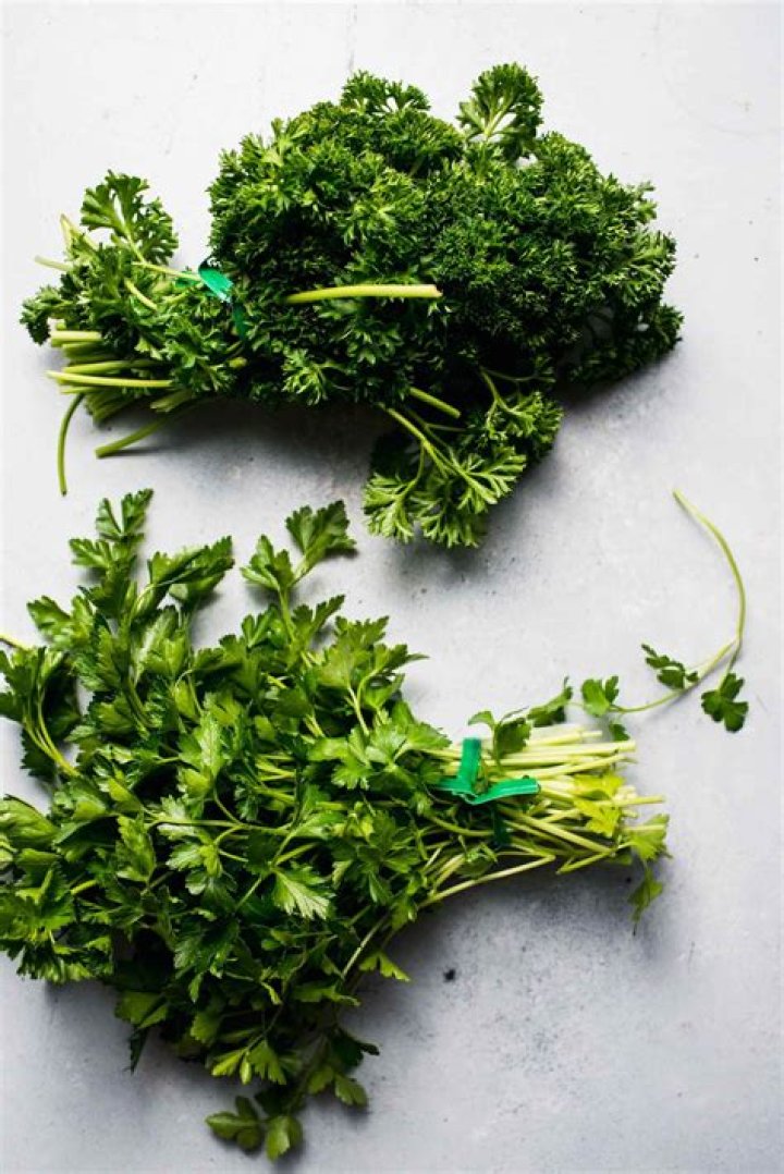 What is the difference between Italian parsley and cilantro