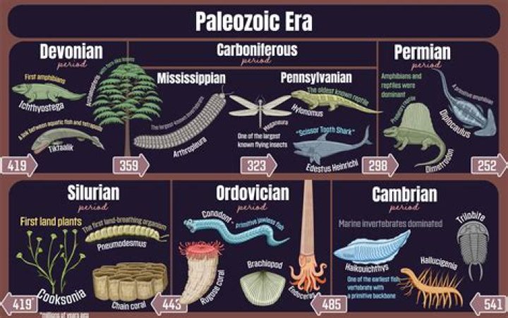 What is the major climate during the Paleozoic Era