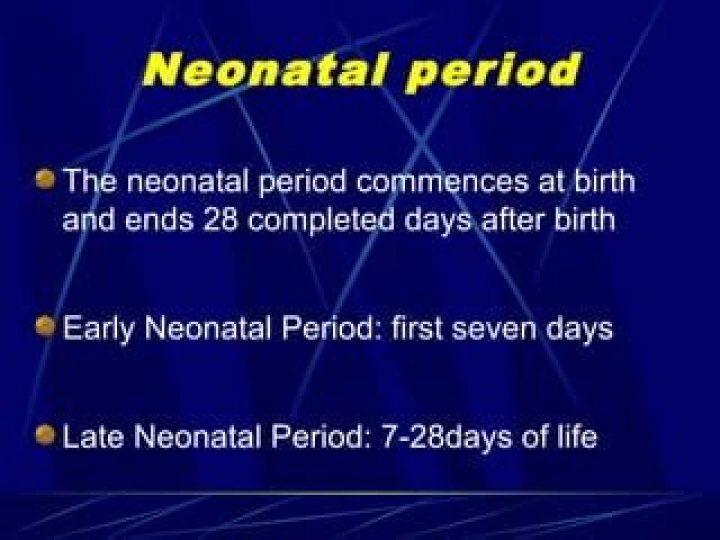 What is the neonatal period