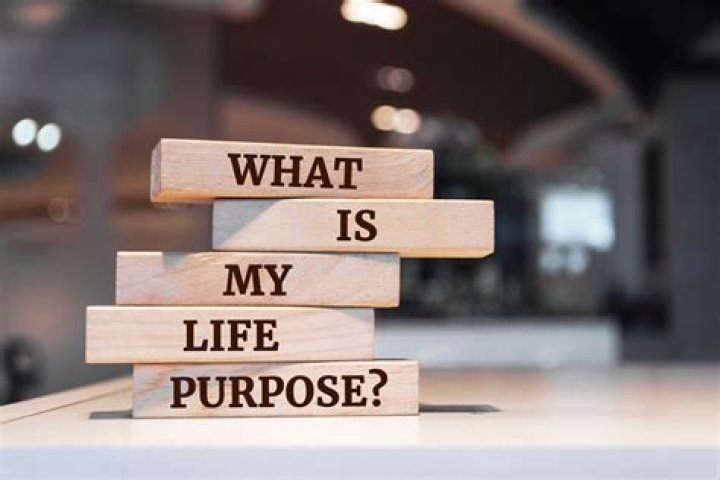 What is the purpose of an IPS