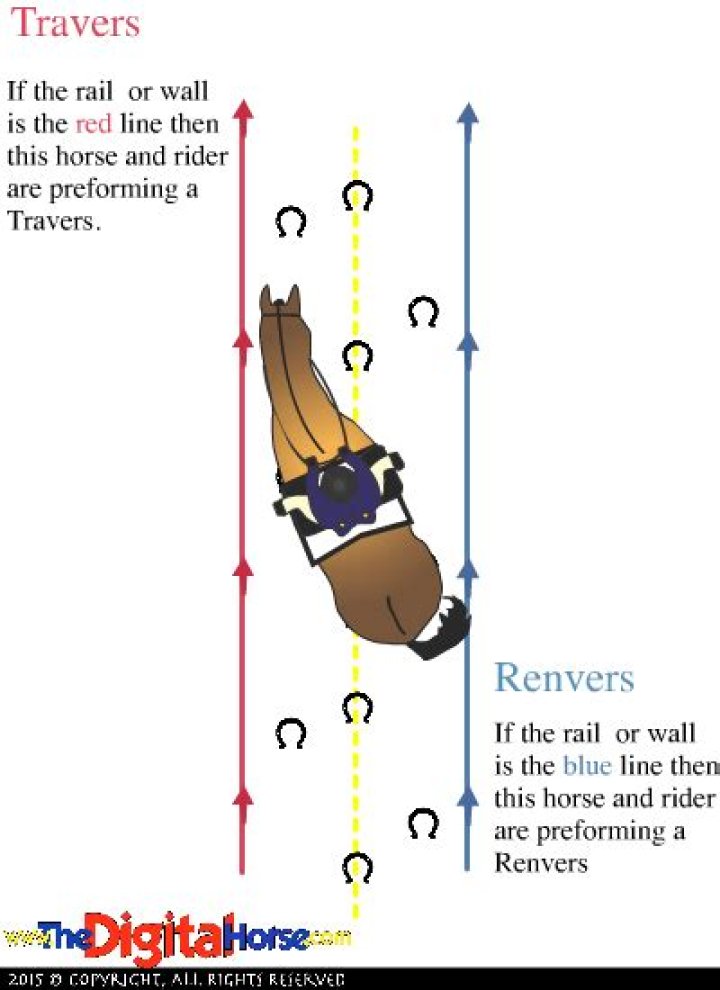 What is Travers in dressage