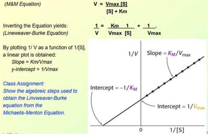 What is Vmax Km ratio