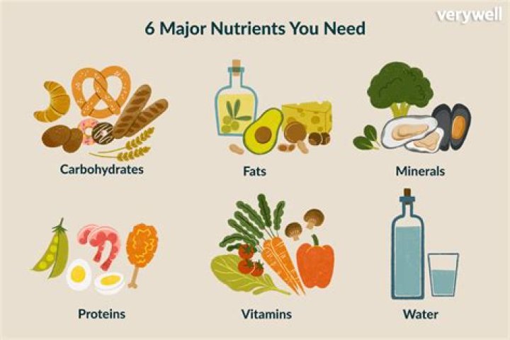 What nutrients do hair need