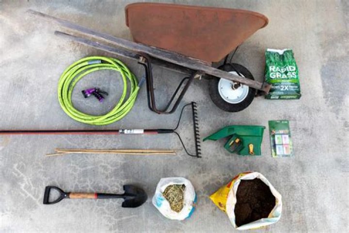 What tools do you need to plant grass seed