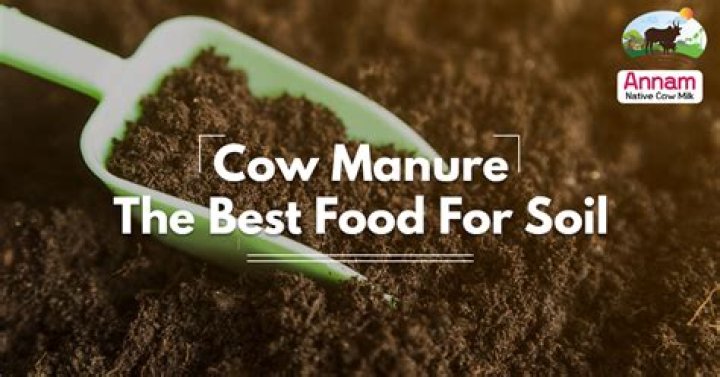 What type of manure is the best fertilizer
