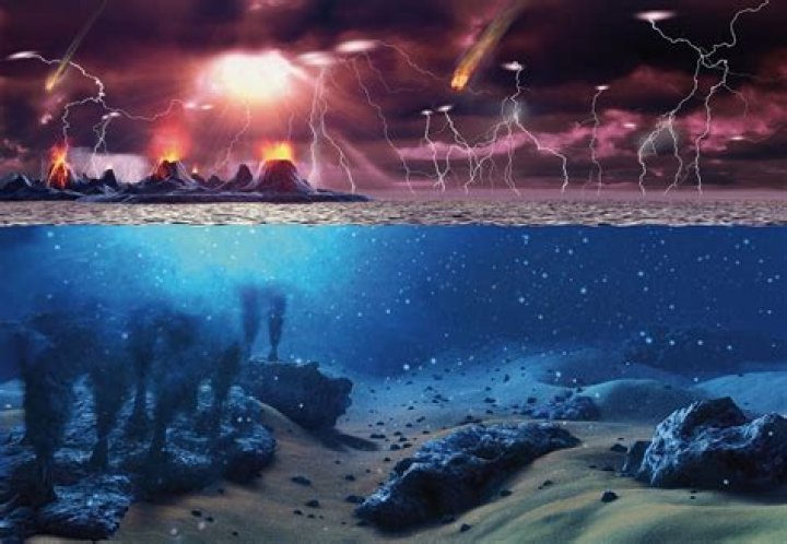 Where did the elements for life come from on Earth