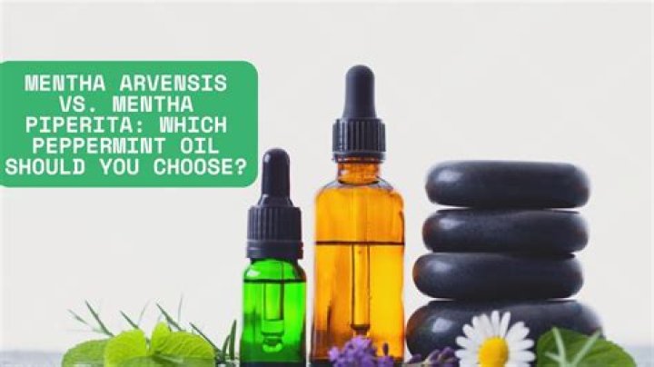 Which peppermint oil is best