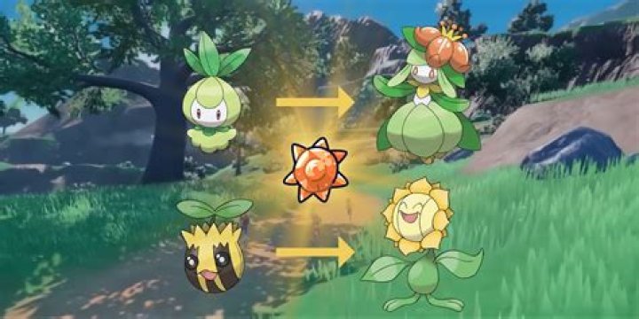 Who Can Evolve Using A Repear Cloyh