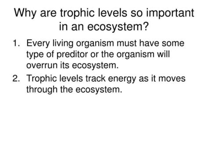 Why are trophic levels important