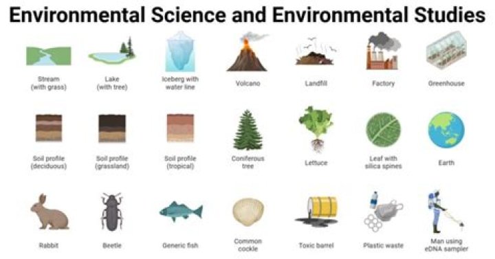 Why do you want to study environmental science