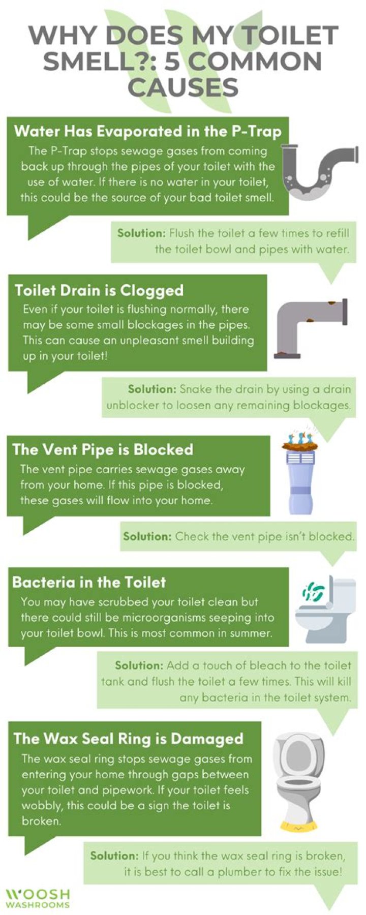 Why does my basement bathroom smell