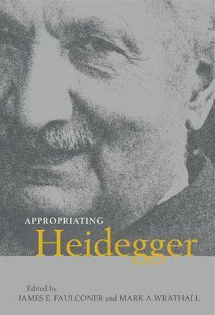 Why is Heidegger important