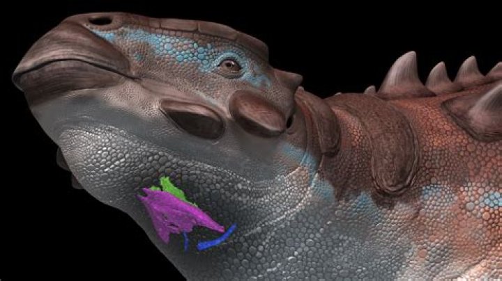 Why is it called a white paper