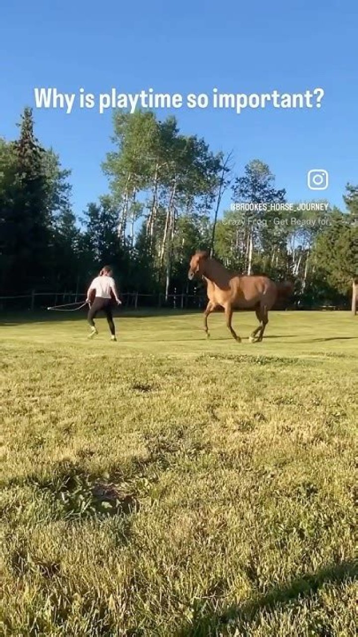 Why is playtime so important