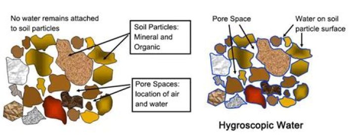 Why is soil water important